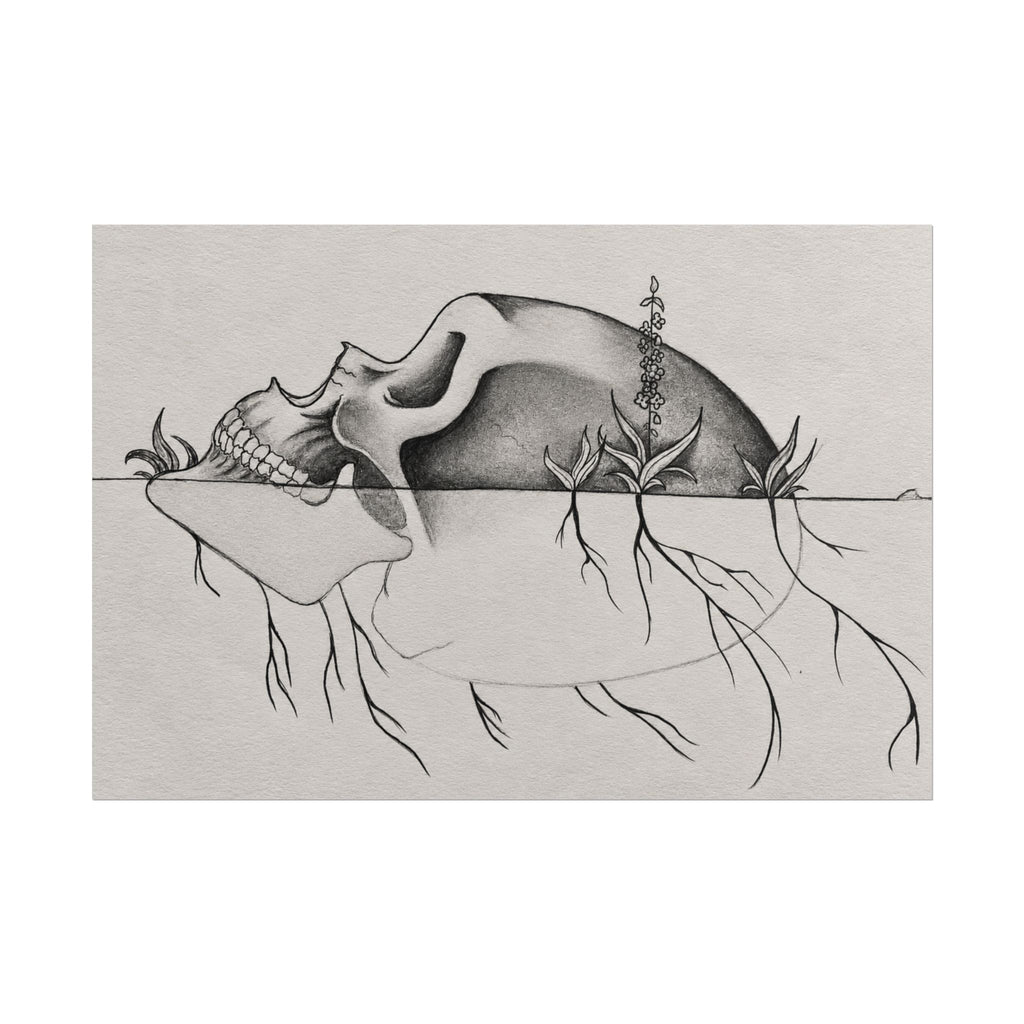 What Remains – Botanical Skull Wall Art | Original Charcoal & Graphite Drawing Print — view 15