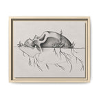 What Remains botanical skull framed canvas art by Abbey Johanna.