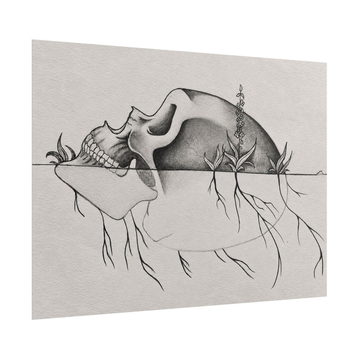 What Remains – Botanical Skull Wall Art | Original Charcoal & Graphite Drawing Print — view 22