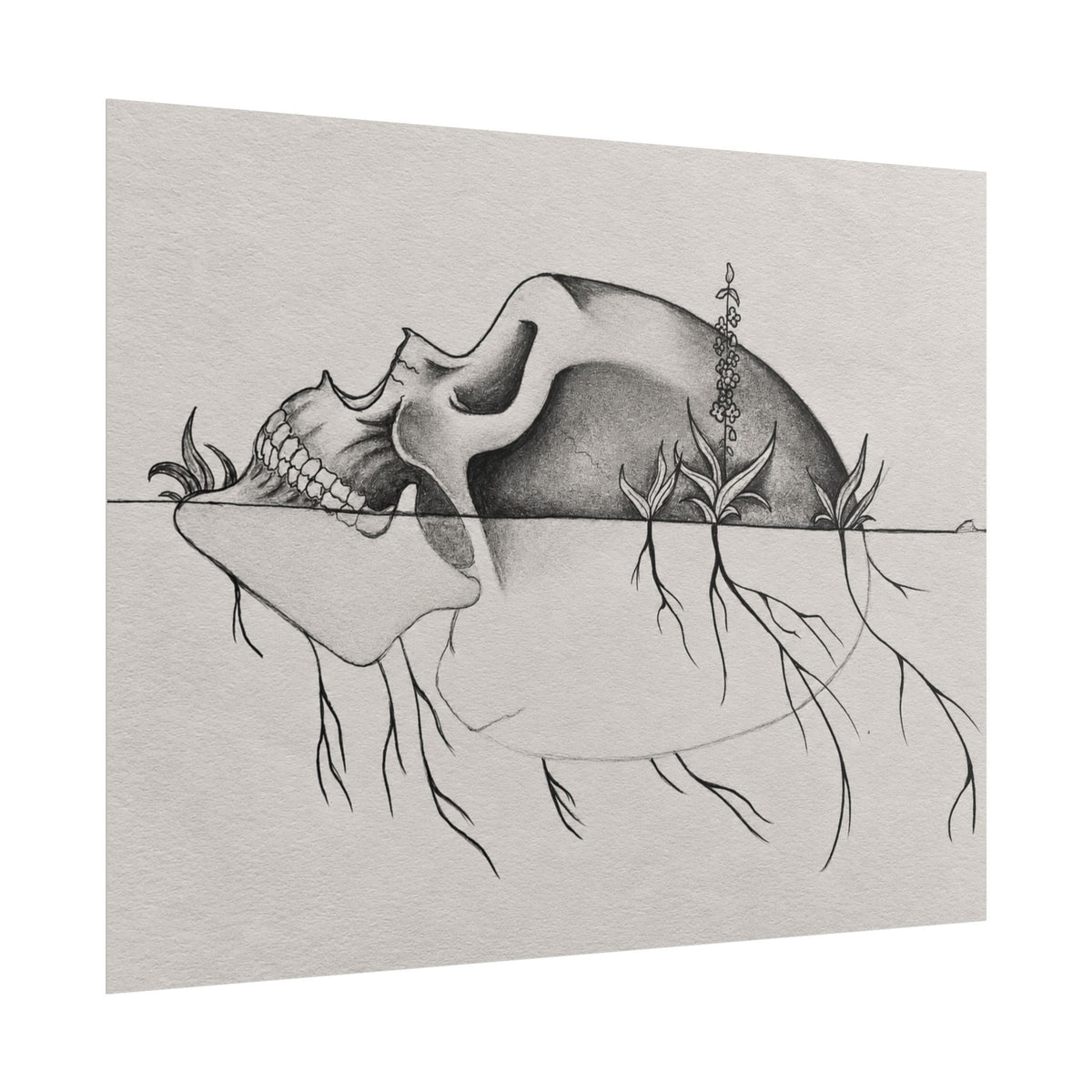 What Remains – Botanical Skull Wall Art | Original Charcoal & Graphite Drawing Print — view 21