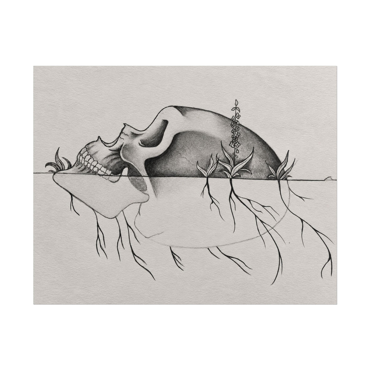 What Remains – Botanical Skull Wall Art | Original Charcoal & Graphite Drawing Print — view 10
