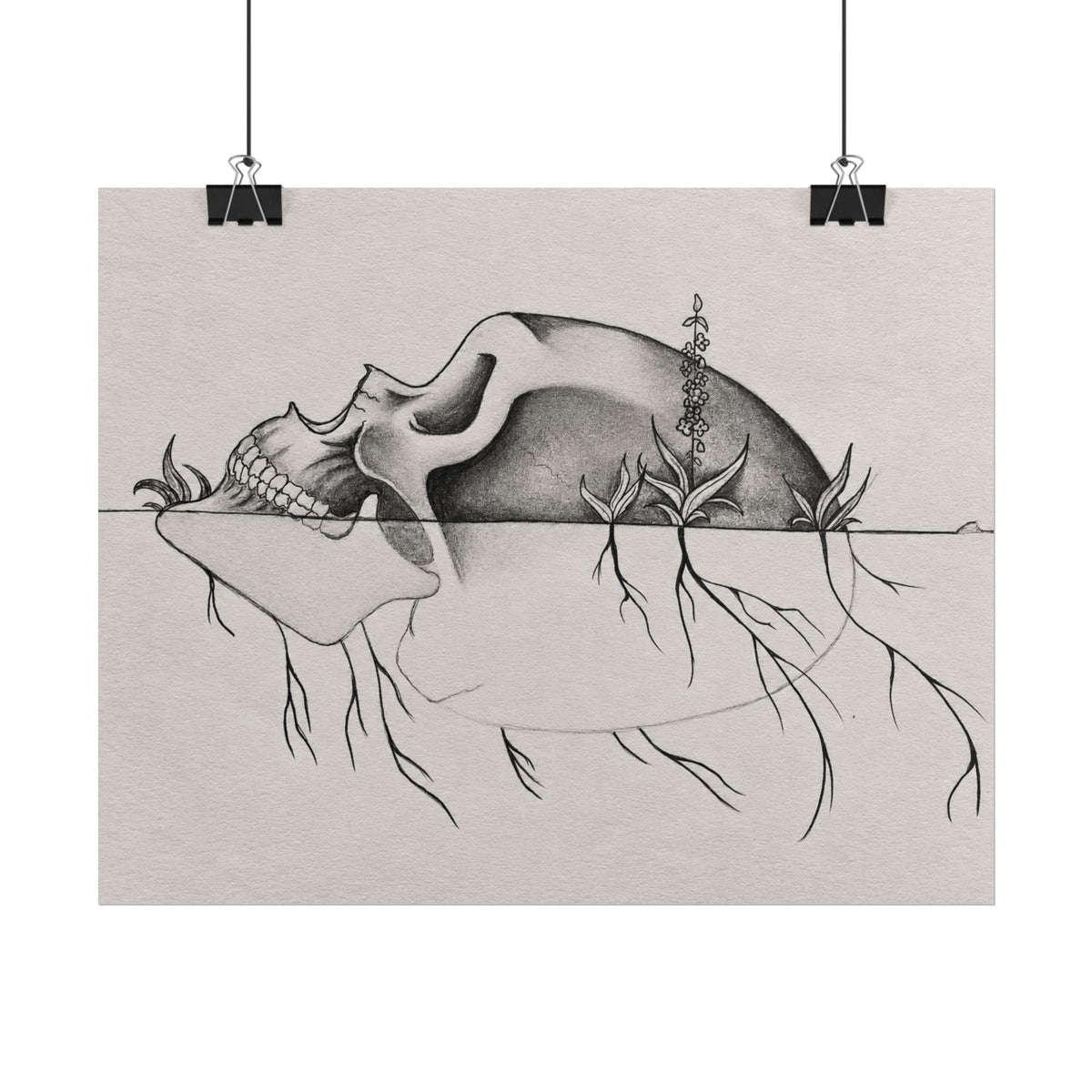 What Remains – Botanical Skull Wall Art | Original Charcoal & Graphite Drawing Print — view 9