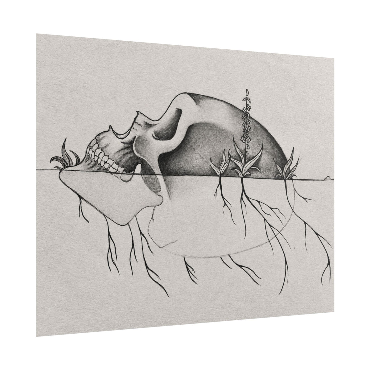 What Remains – Botanical Skull Wall Art | Original Charcoal & Graphite Drawing Print — view 11