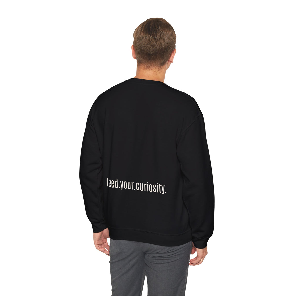 Traditional Tattoo-Style Crane Illustration Sweatshirt | Vintage Flash, Limited Palette — view 32