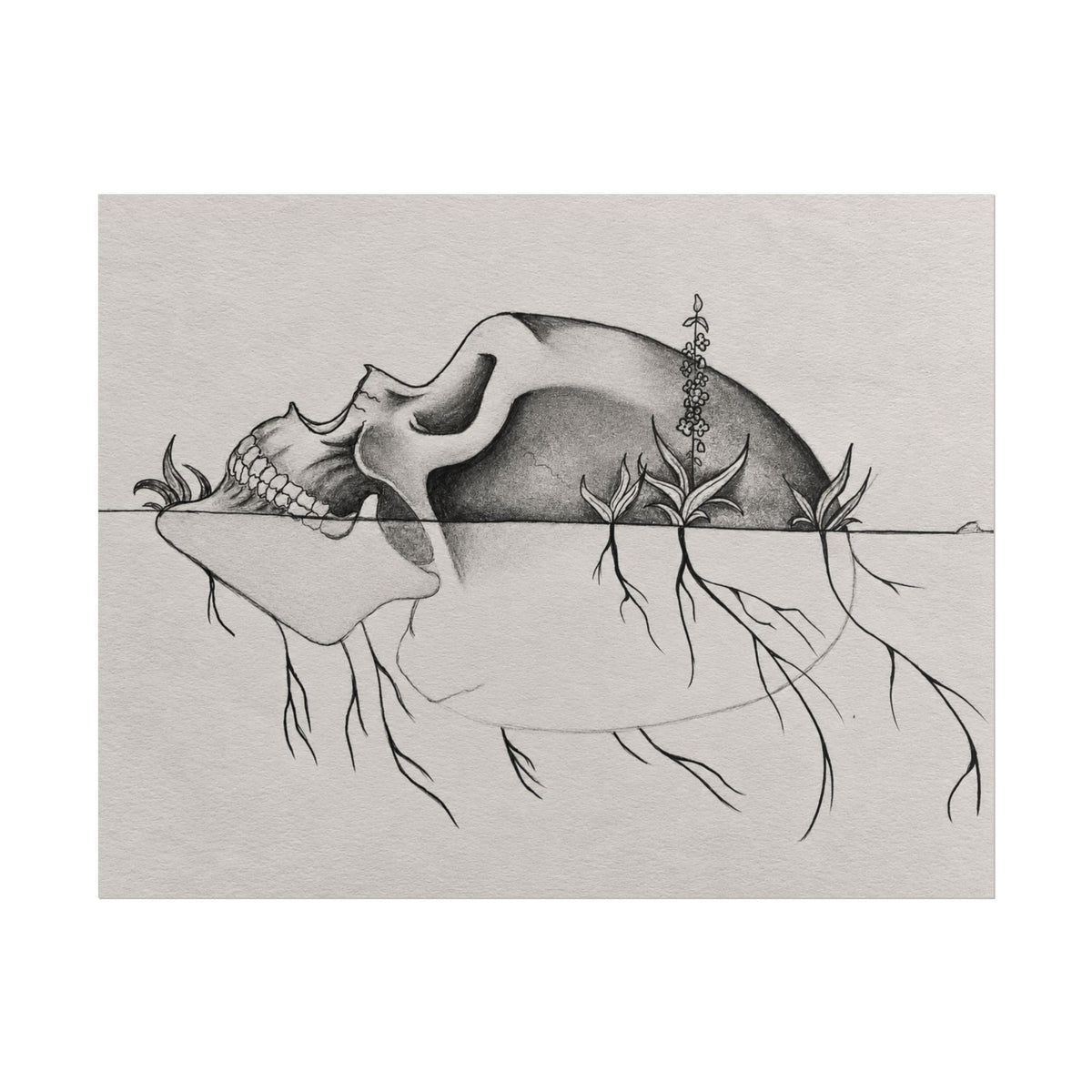 What Remains – Botanical Skull Wall Art | Original Charcoal & Graphite Drawing Print — view 6
