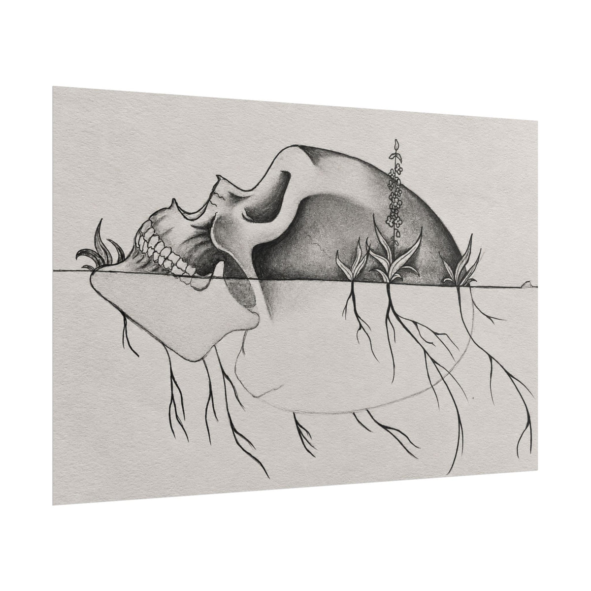 What Remains – Botanical Skull Wall Art | Original Charcoal & Graphite Drawing Print — view 14