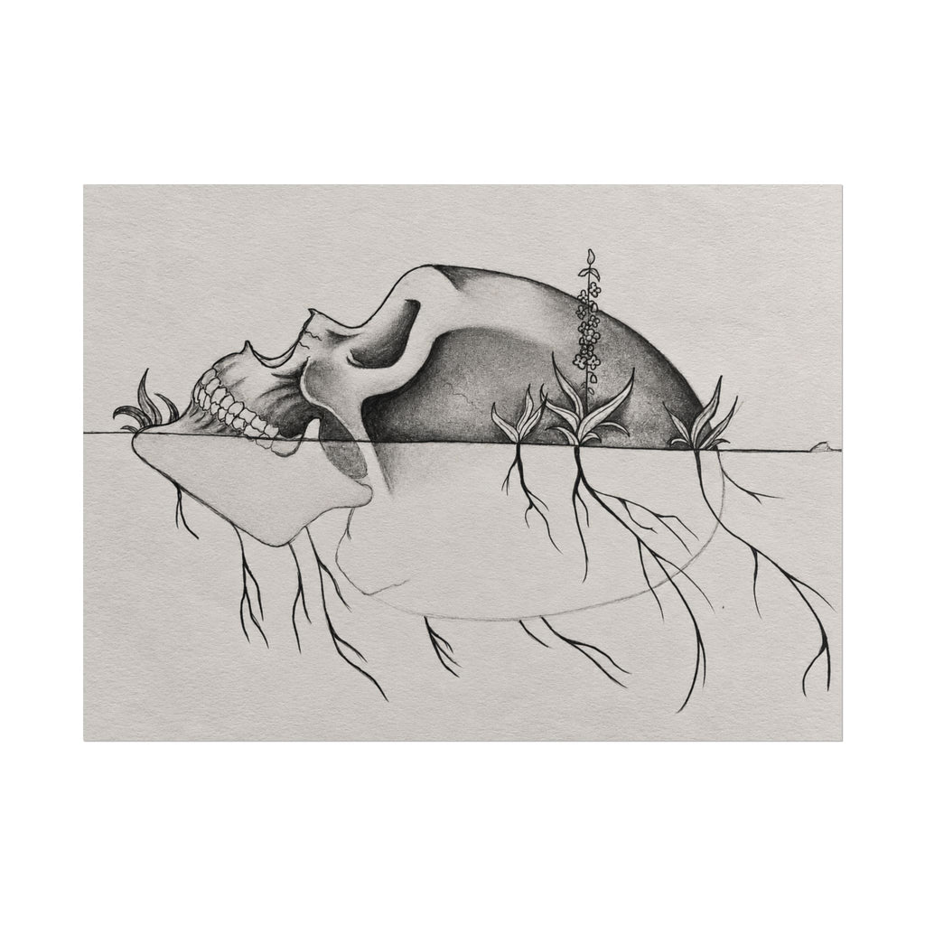What Remains – Botanical Skull Wall Art | Original Charcoal & Graphite Drawing Print — view 7