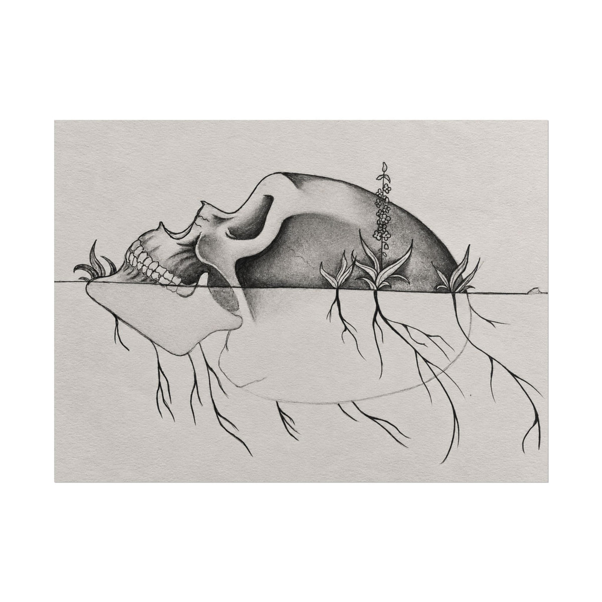 What Remains – Botanical Skull Wall Art | Original Charcoal & Graphite Drawing Print — view 7