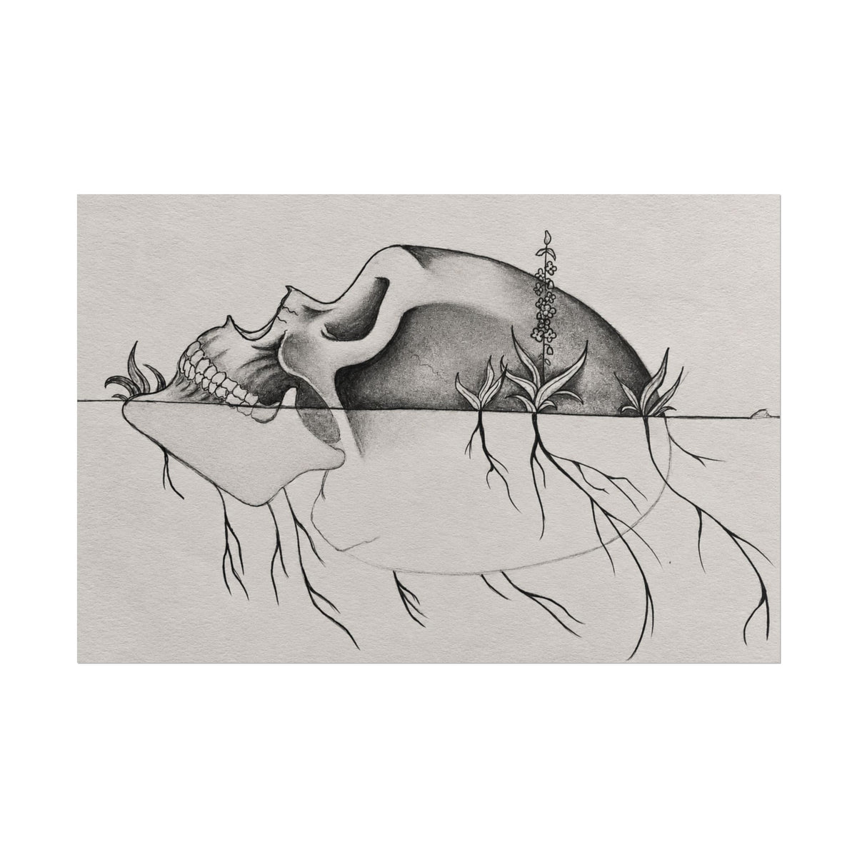 What Remains – Botanical Skull Wall Art | Original Charcoal & Graphite Drawing Print — view 12