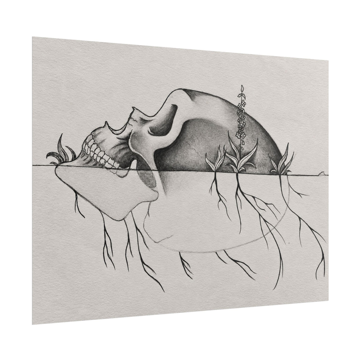 What Remains – Botanical Skull Wall Art | Original Charcoal & Graphite Drawing Print — view 19
