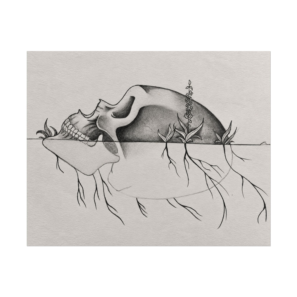 What Remains botanical skull graphite and charcoal art print by Abbey Johanna.