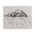 What Remains botanical skull graphite and charcoal art print by Abbey Johanna.