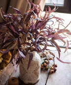Whispers of Autumn Eucalyptus Stem 33" Tall